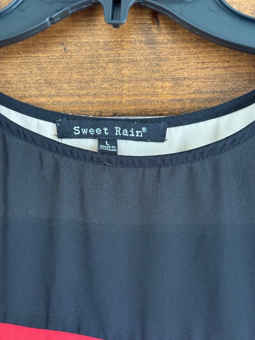 Sweet Rain Colorblock Sheer Blouse - Large - Picture 2 of 3
